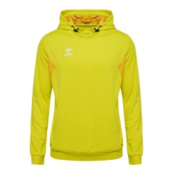 hmlAUTHENTIC PL HOODIE...
