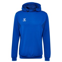 hmlAUTHENTIC PL HOODIE TRUE...